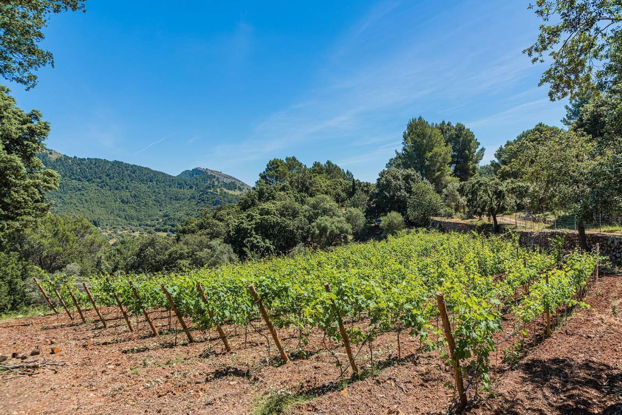 Picassa Villa Pollenca Bagian luar foto