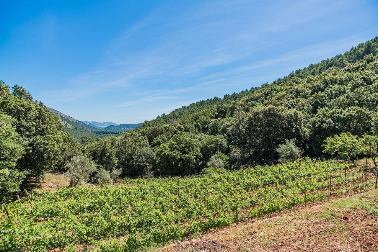 Picassa Villa Pollenca Bagian luar foto