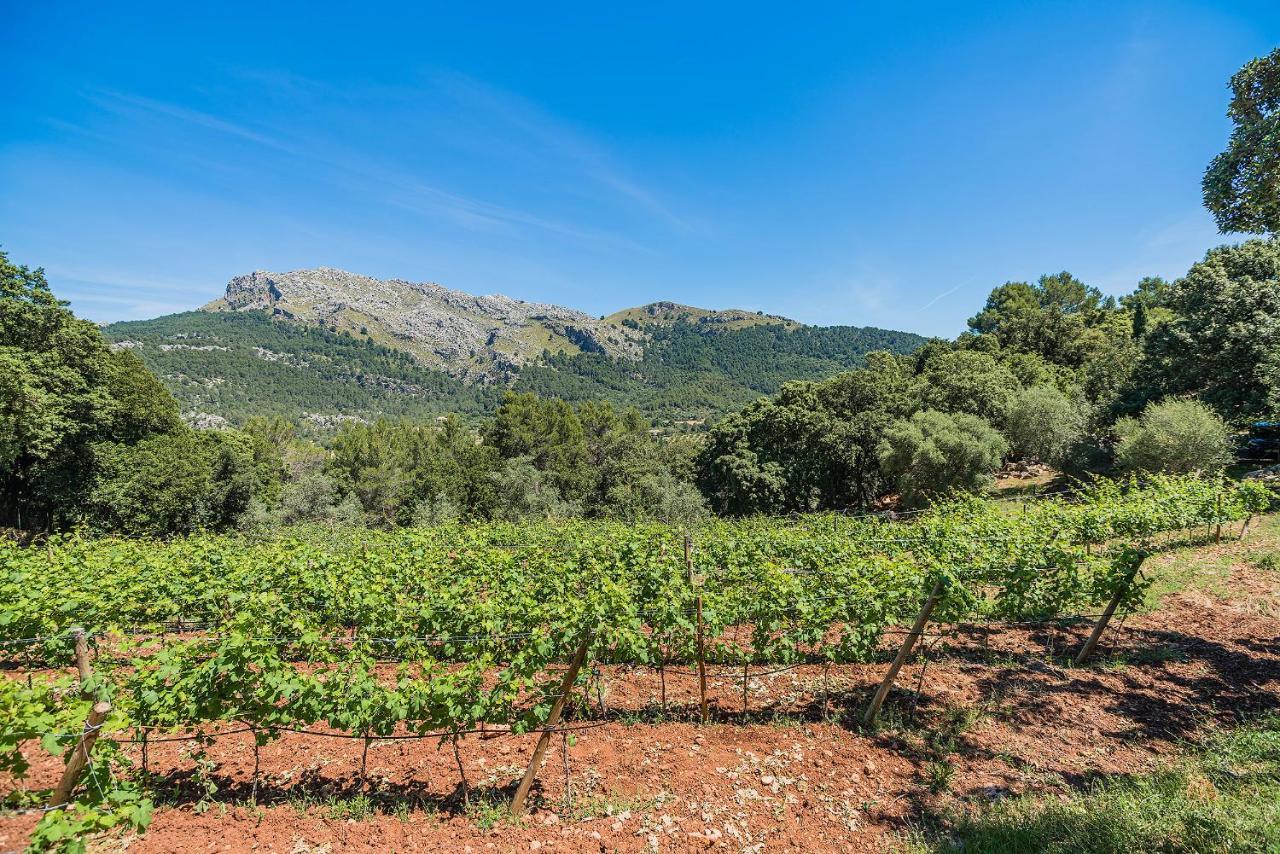 Picassa Villa Pollenca Bagian luar foto