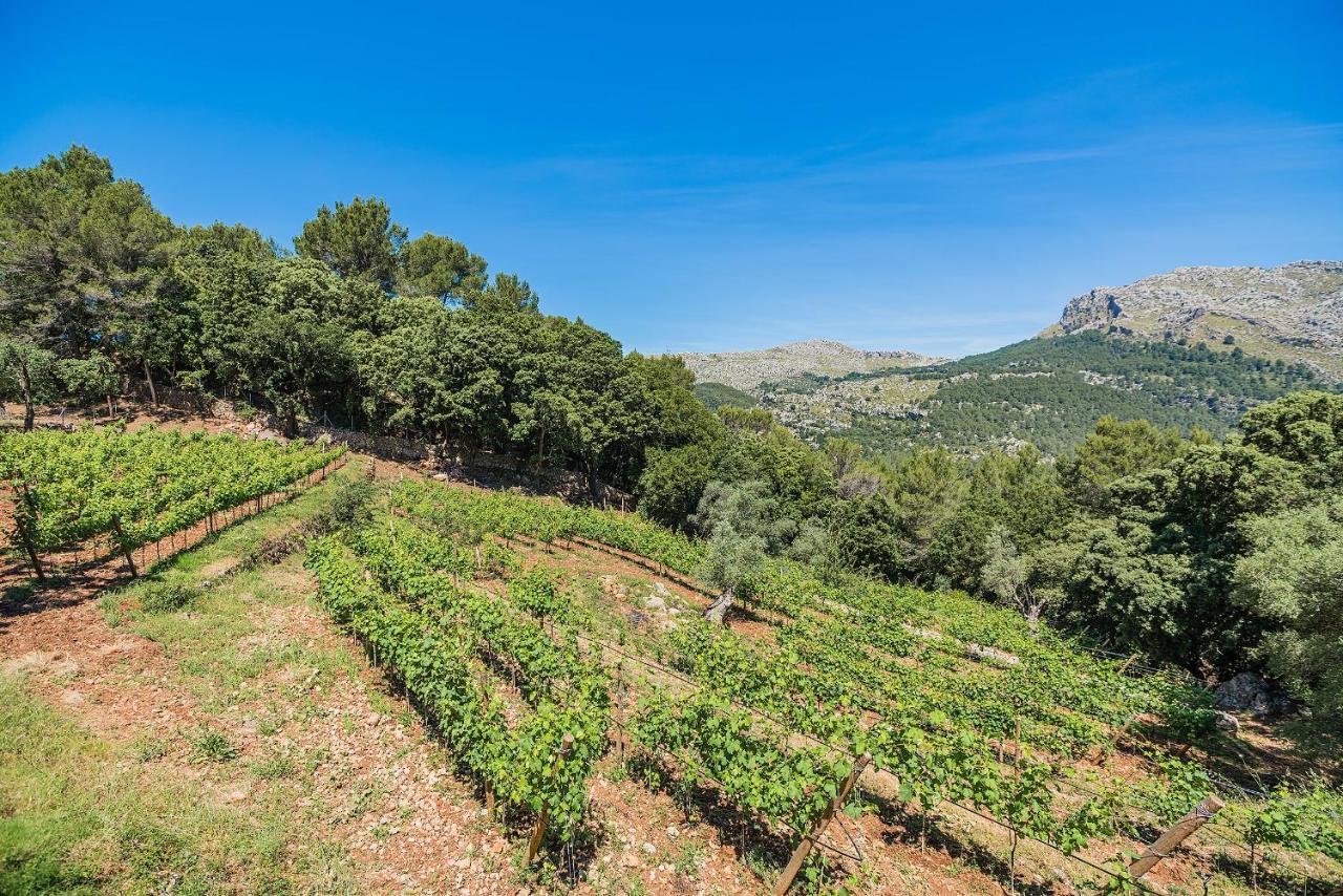 Picassa Villa Pollenca Bagian luar foto